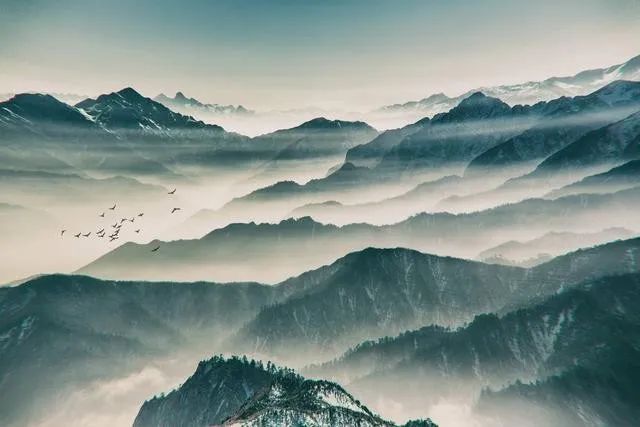 「文化」藏在古人诗词里的“三春”有多迷人？盘它！