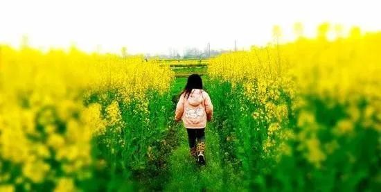 「文化」藏在古人诗词里的“三春”有多迷人？盘它！