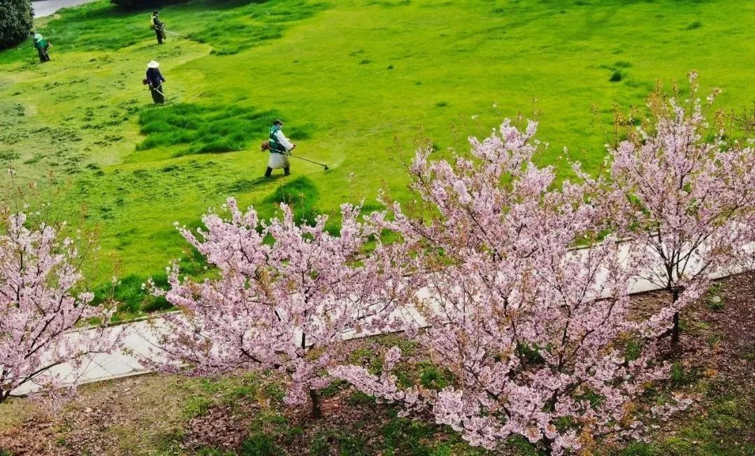 [疫情]光明时评：“两位数”和“0”，不容易！