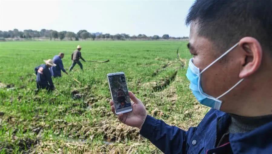 农资■事关咱的饭碗,今年春耕还好吗?