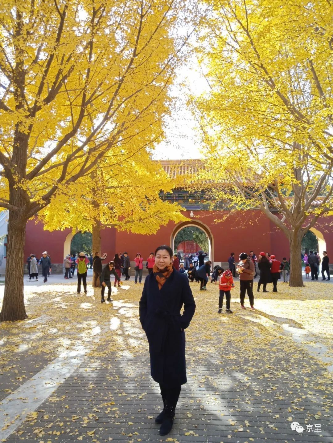 『中国节日』伤痕也是美!致敬!援鄂北京医疗队女英雄