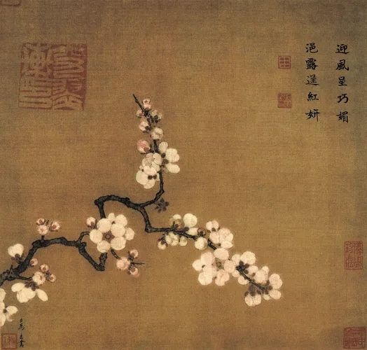 【杏花】杏花春雨│诗画寻芳