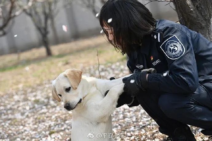 [女警]亲测警告！别轻易惹女警，因为……