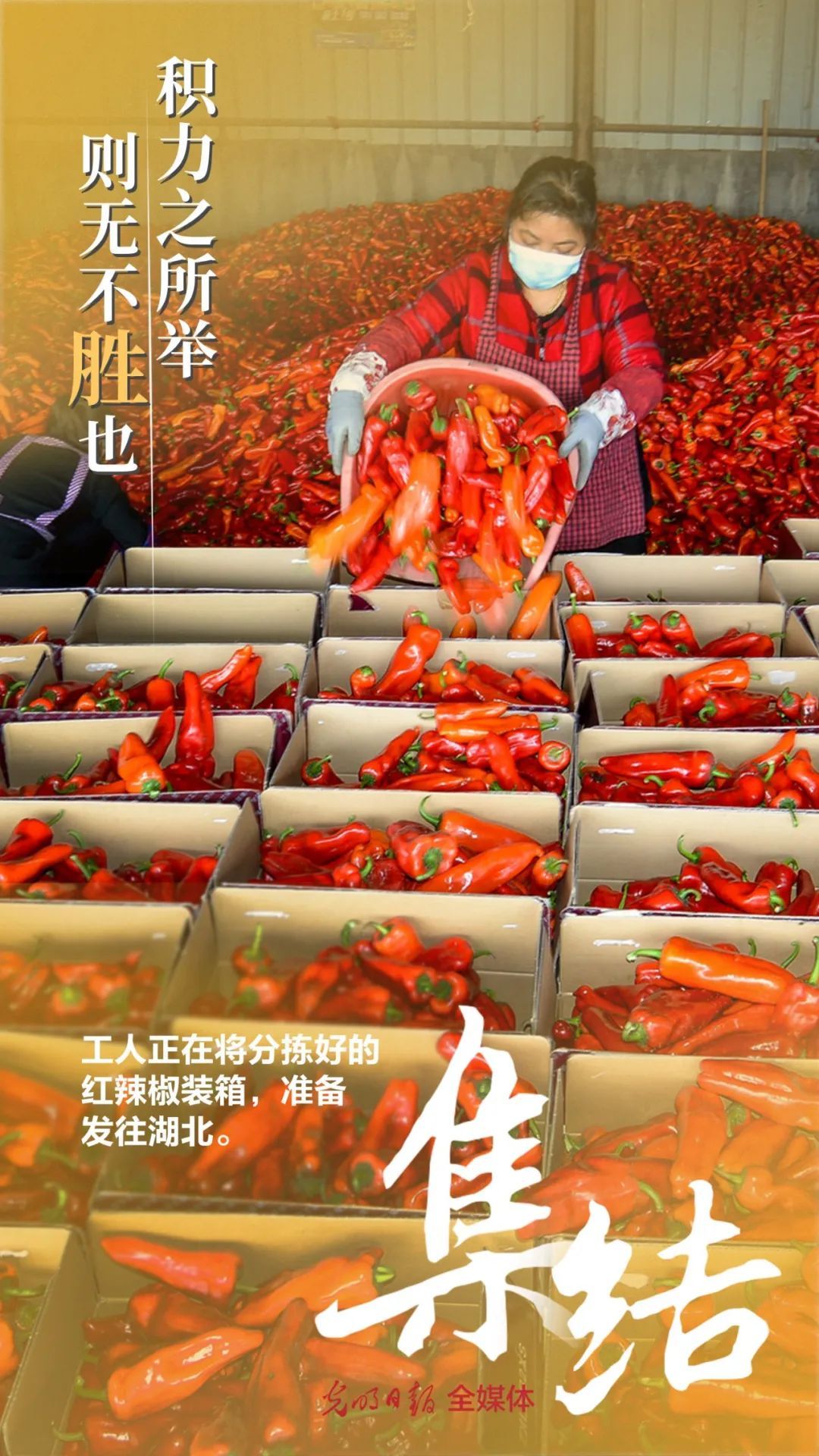 「社会」集结！