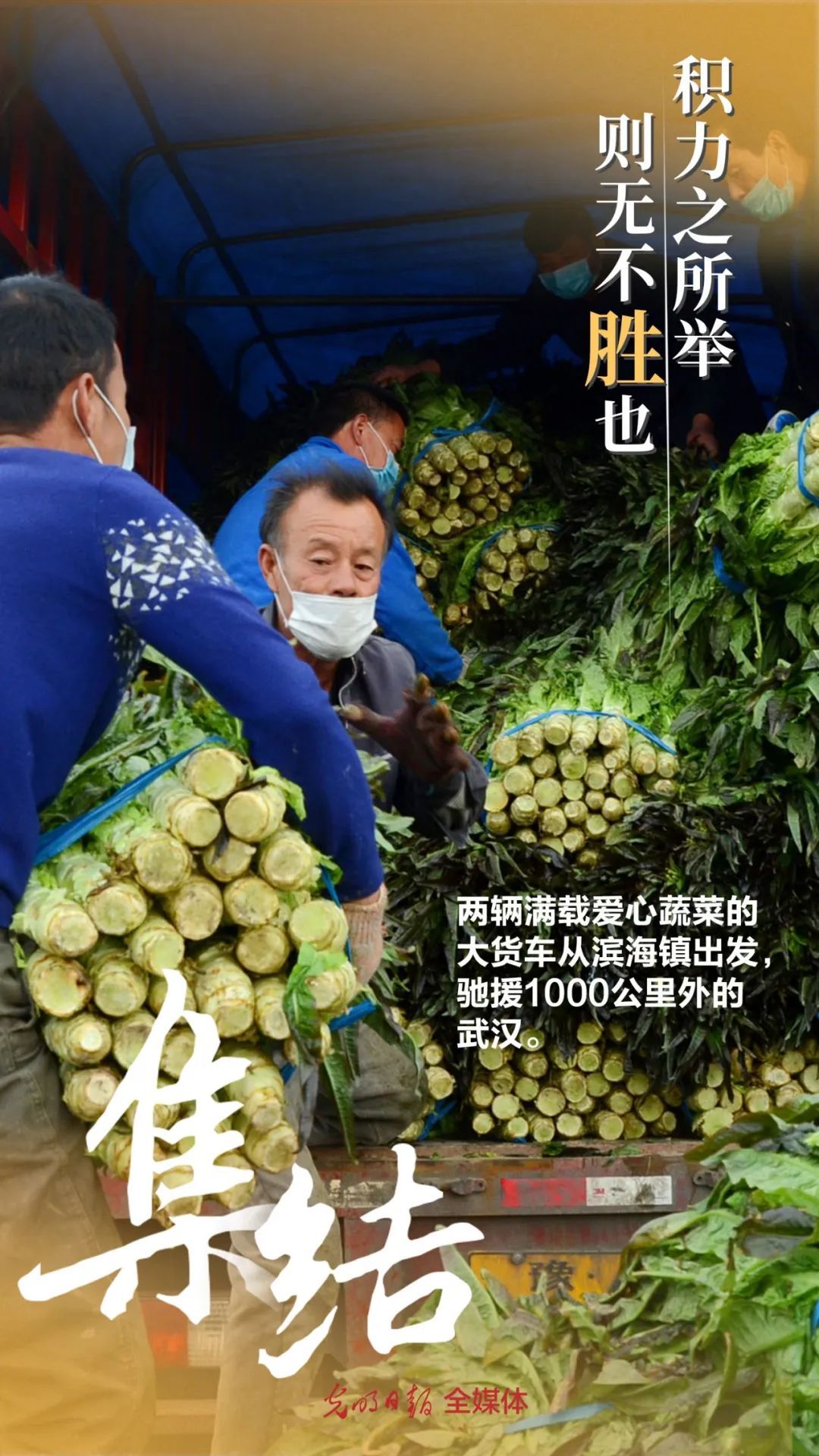 「社会」集结！