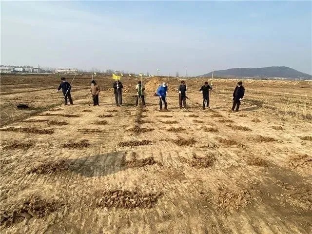 考古■疫情期间，考古人都在做什么