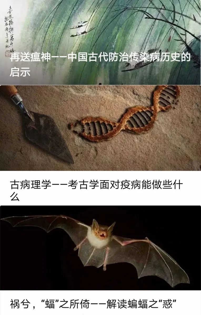 考古■疫情期间，考古人都在做什么