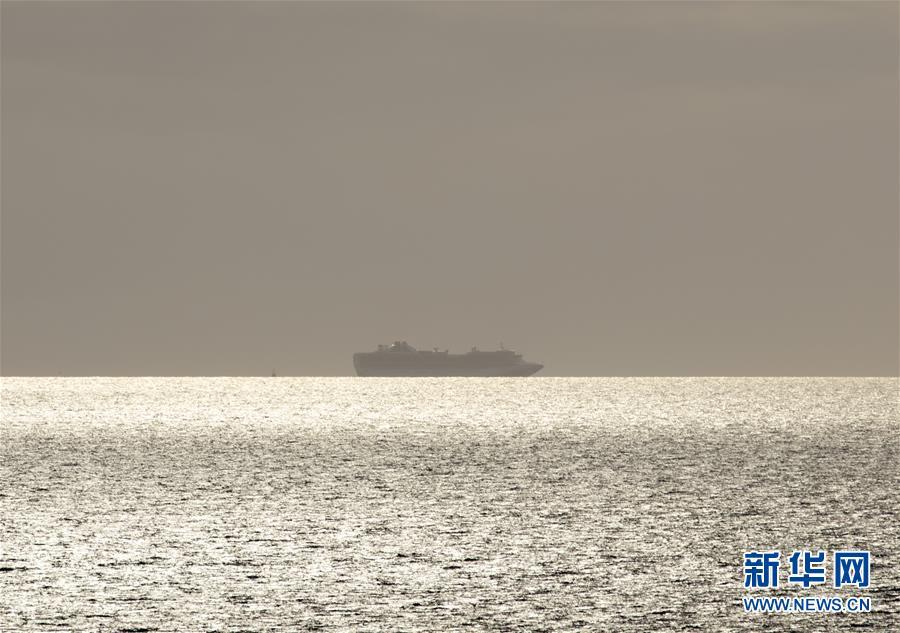 公主邮轮▲发生新冠疫情的“至尊公主”号邮轮抵达旧金山附近海域