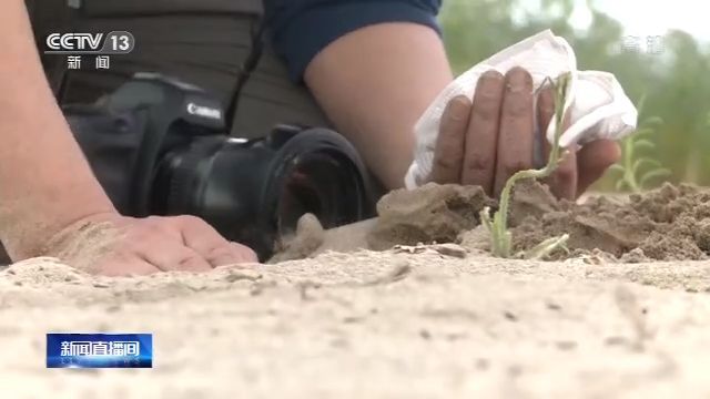 『卡拉奇』我国首批援巴基斯坦灭蝗物资运抵卡拉奇机场