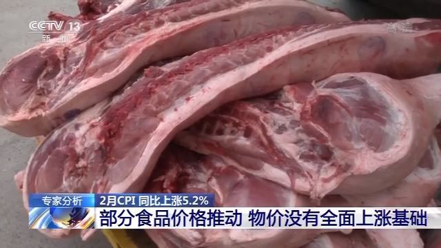 『cpi』专家：部分食品价格推动2月CPI上涨 物价不会全面持续上涨