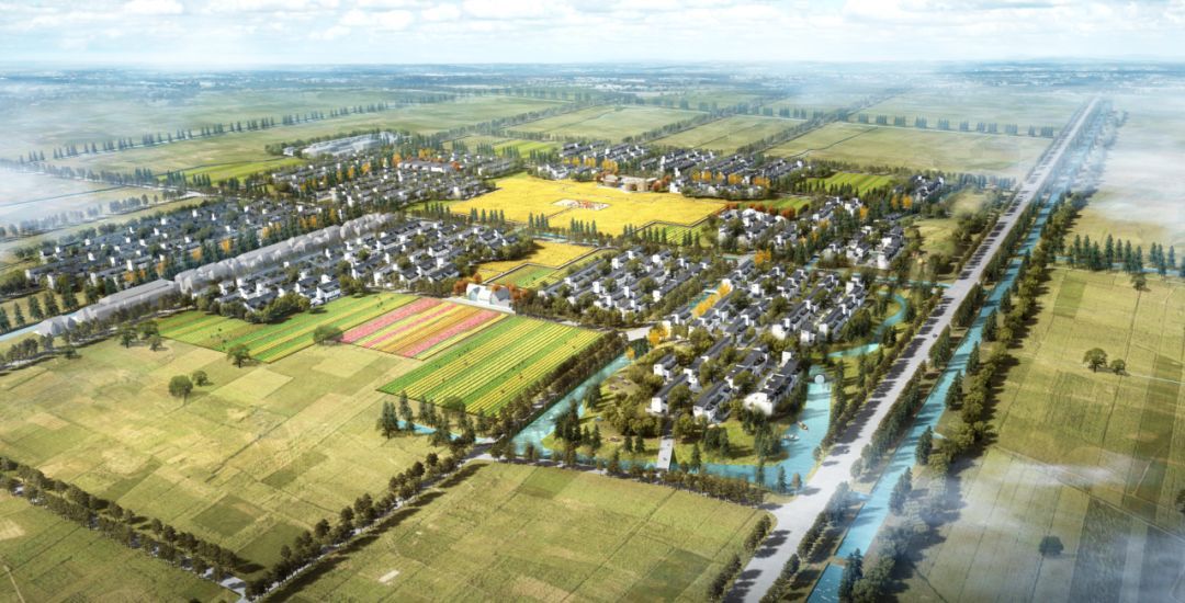 今年叶榭镇会有这些大变化快来看看