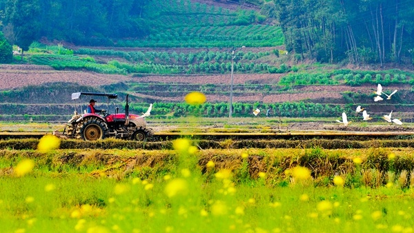 「在希望的田野上」网言网语|三月,耕耘在希望的田野上