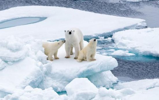 『巴黎协定』2019年全球气候状况声明：人类离《巴黎协定》目标还很远