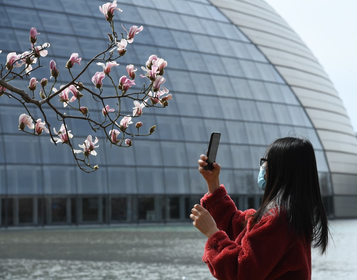 花:路旁鲜花随手拍,行路赏景不扎堆