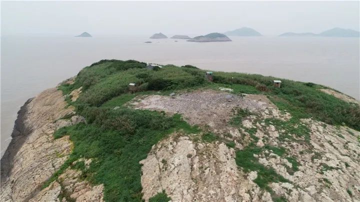 「野生动物」野生动物没有错