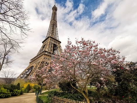 [埃菲尔铁塔]?法国禁止100人以上聚集 埃菲尔铁塔等旅游文化场所关闭