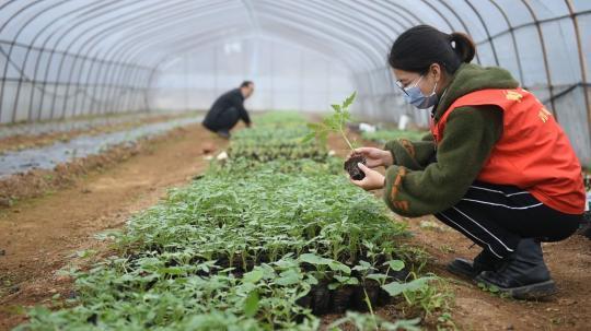 『社会』战“疫”朋友圈｜90后，抗“疫”一线的“未来战队”