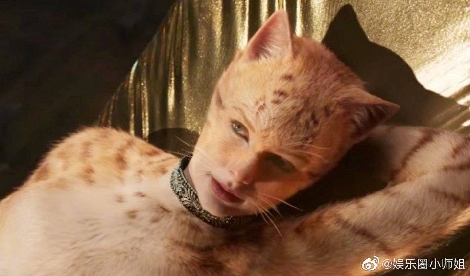 『金酸莓奖』“金酸莓”颁奖典礼叫停,《猫》《第一滴血5》可以喘口气了