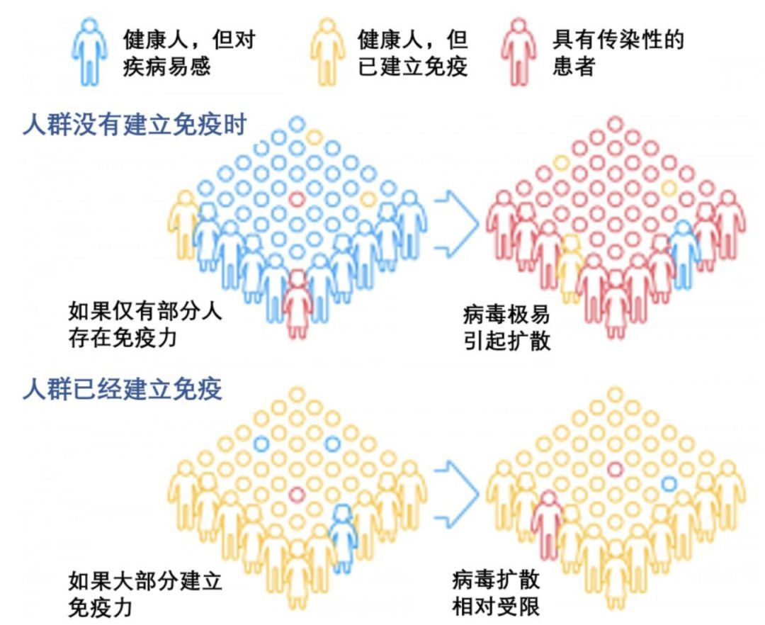 英国"群体免疫"靠谱吗?外媒:疫情或持续到明年