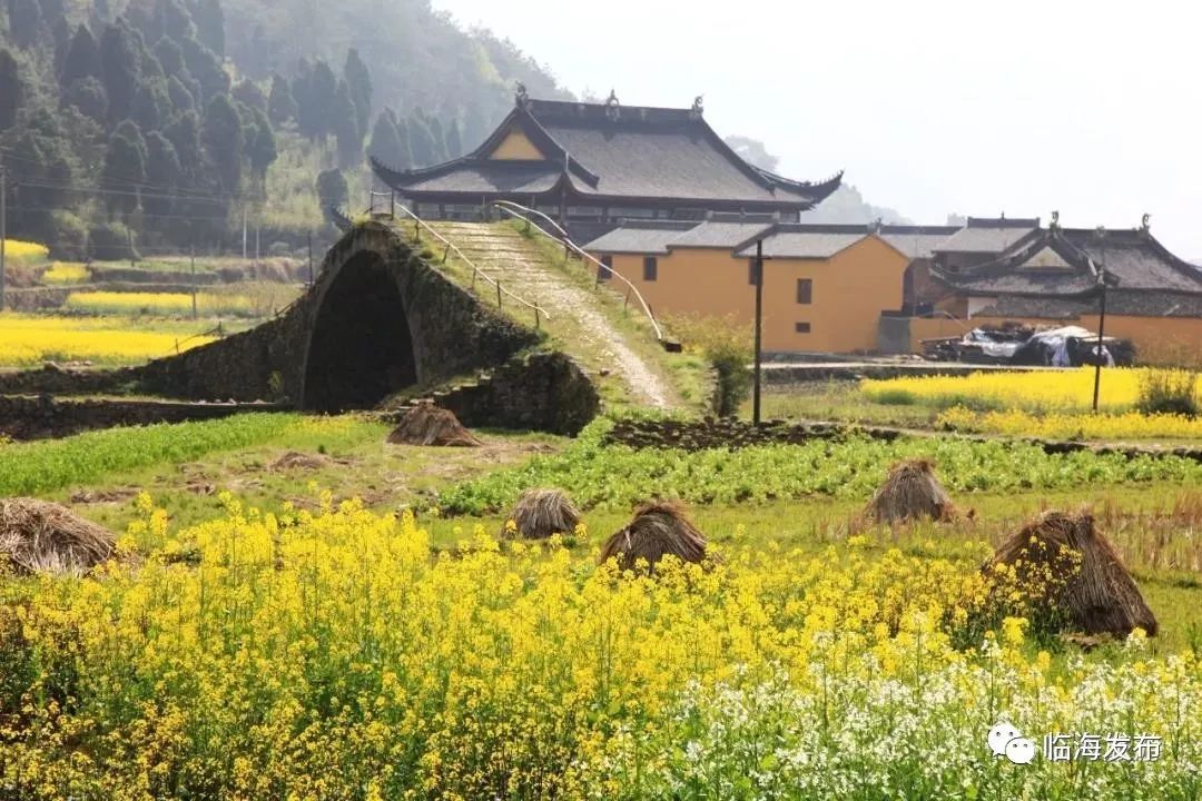 沒看過臨海的春天是不完整的!