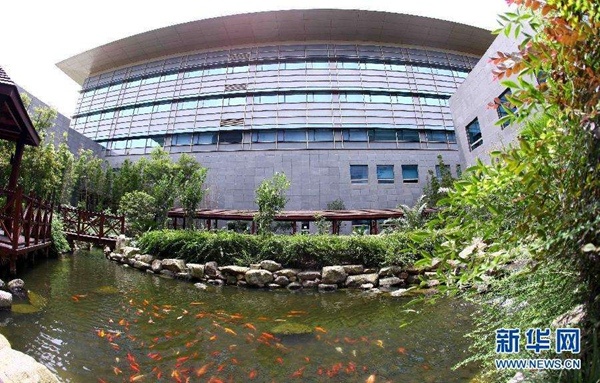 「绿色空间」【防疫科普】如何利用园艺疗法保持复工后身心健康？