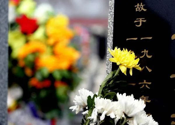 「清明节」清明节将至 中国多地实施“限流代祭”