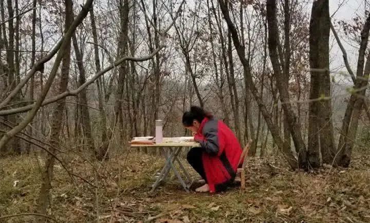 在线教育@学习的革命