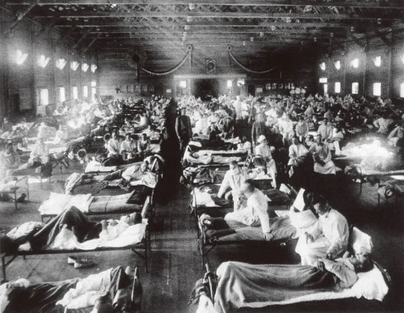 「天花」人类与瘟疫的不懈斗争