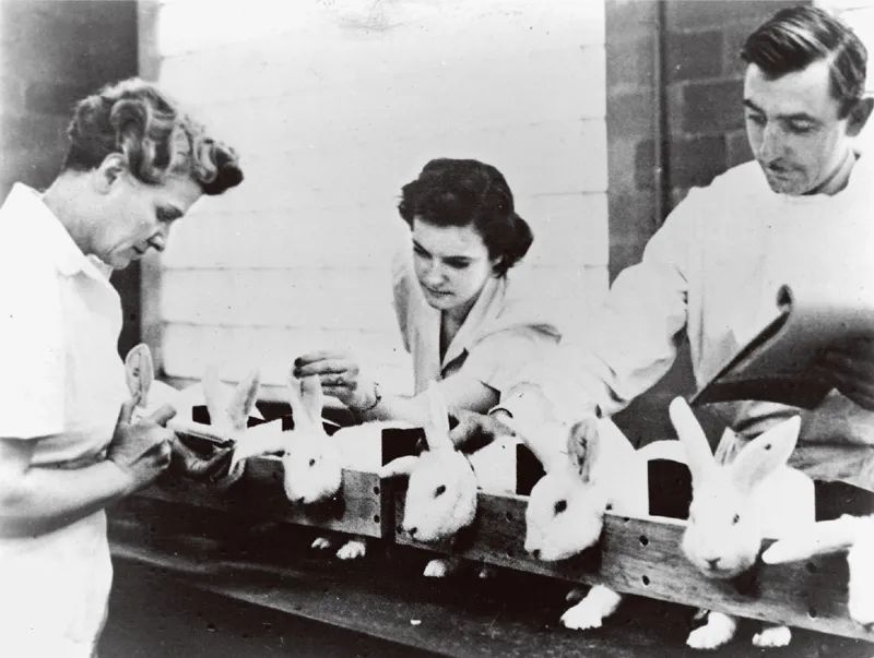 「天花」人类与瘟疫的不懈斗争