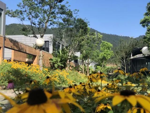 『天气』各地噌噌变暖！不过棉衣先别着急脱......