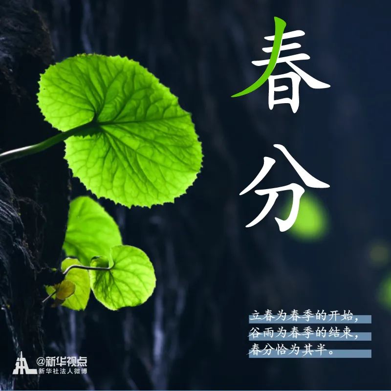 「」春意正好，春分来了