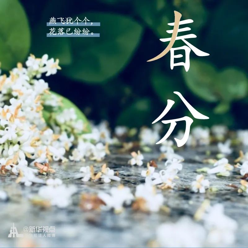 「」春意正好，春分来了