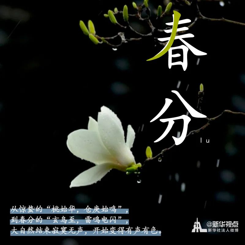 「」春意正好，春分来了