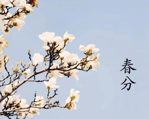 春分▲今日春分|日月等长 与你守望