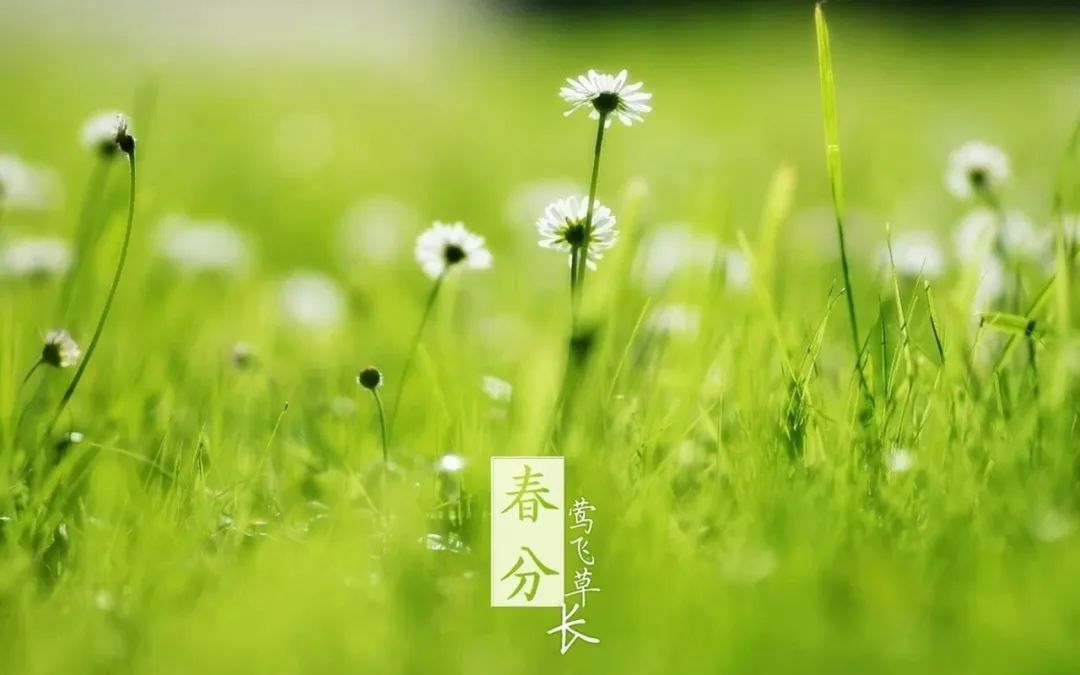 春分▲今日春分|日月等长 与你守望