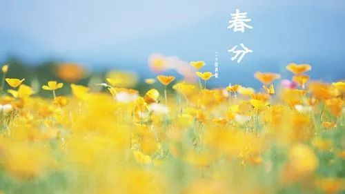 春分▲今日春分|日月等长 与你守望