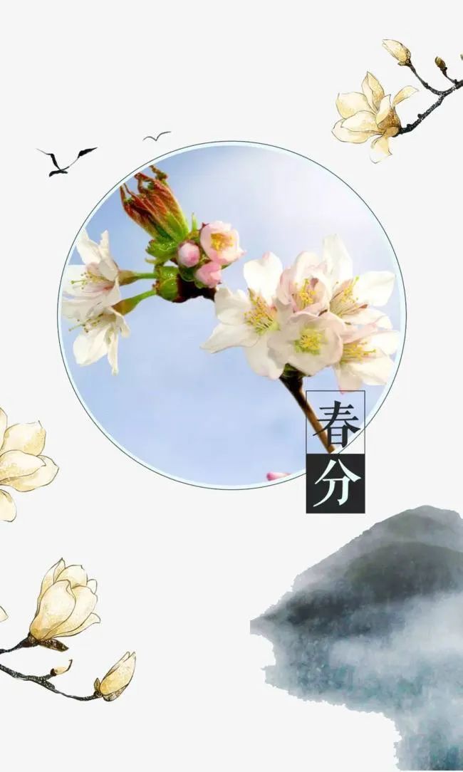 春分▲今日春分|日月等长 与你守望