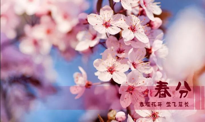 春分▲今日春分|日月等长 与你守望
