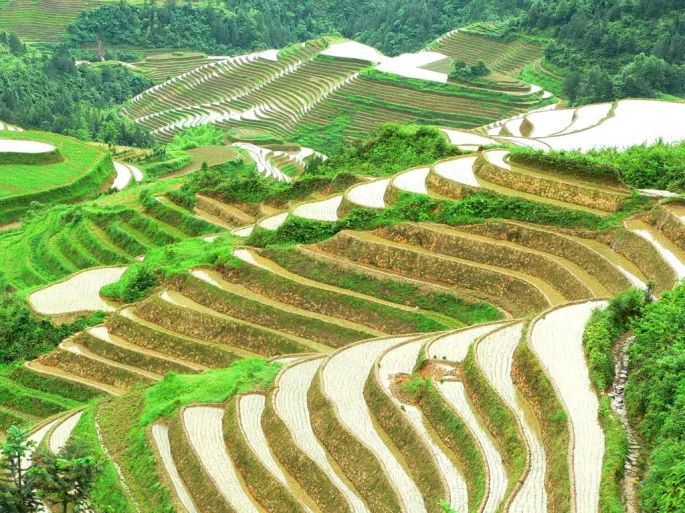 世界气象日▲气候变暖变湿=不再缺水?看完这几个案例你就明白了丨2020年世界气象日系列科普