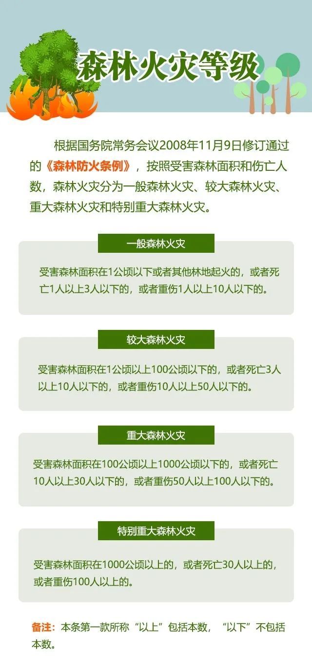 「森林火灾」应急科普丨一图看懂森林火灾的罪与罚