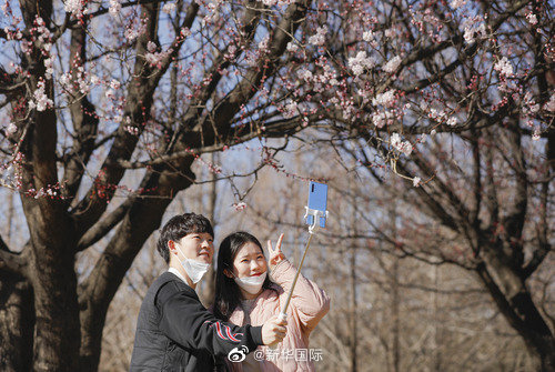 『肺炎』韩国新冠肺炎确诊病例单日新增大幅下降