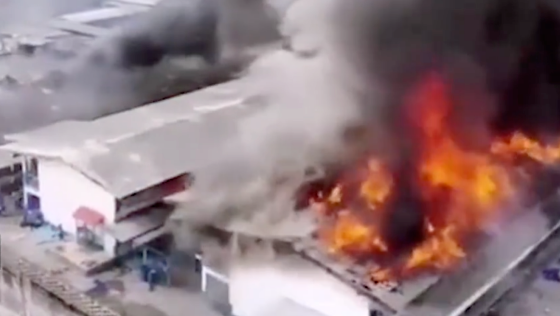 [哥伦比亚]疫情让监狱更危险！泰国监狱暴乱响起枪声，美国203名囚犯检测101名呈阳性