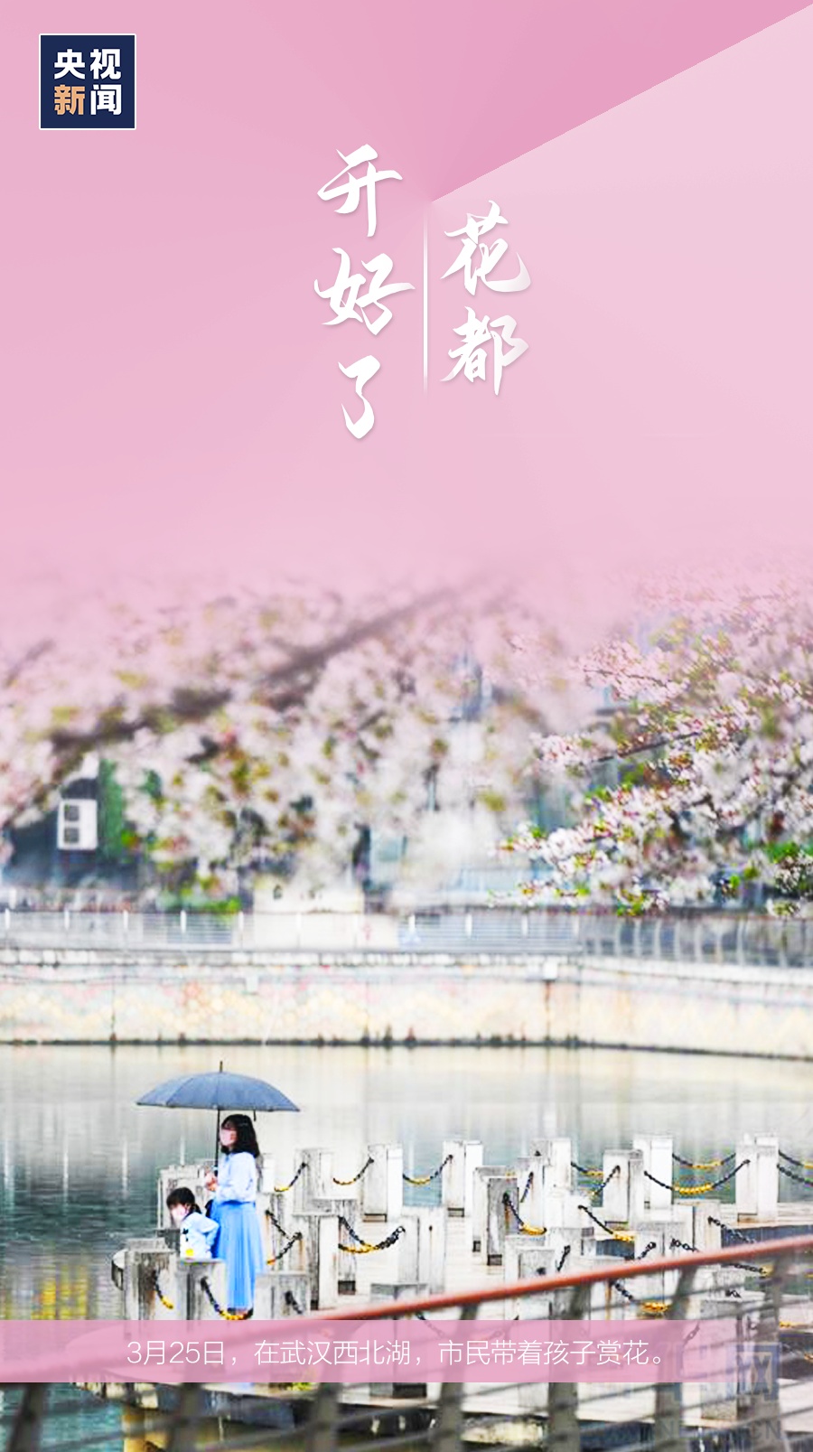 []这些最平常的画面，却看得泪目……