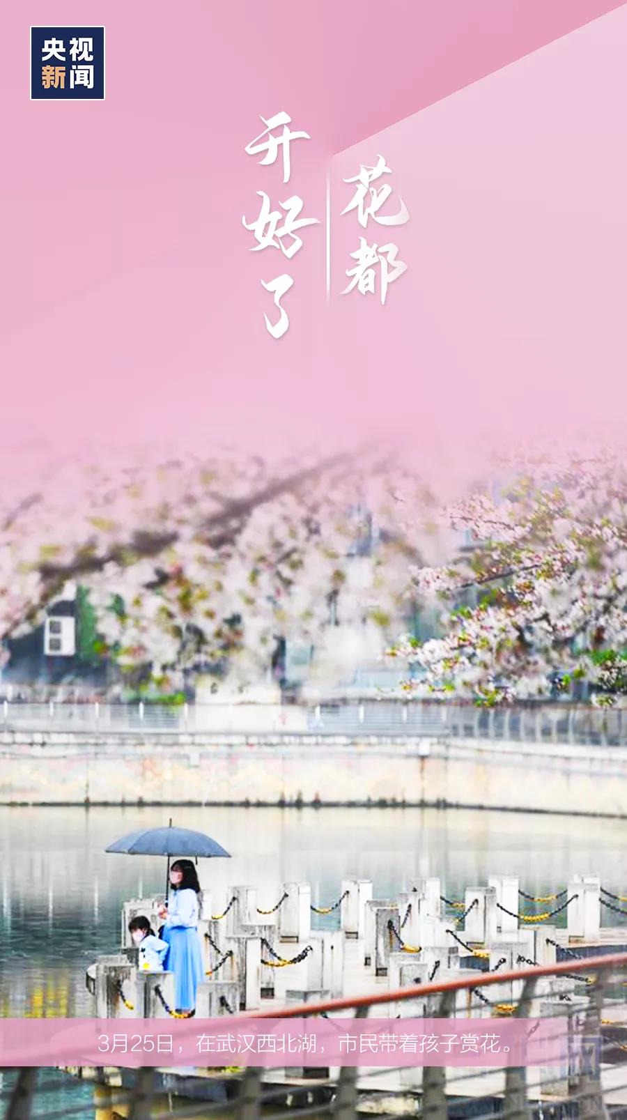 央视新闻▲组图|这些最平常的画面,却看得泪目……