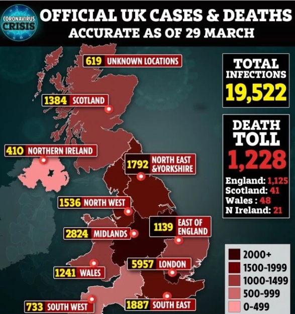 「山羊」疫情期间羊群占领英国无人街道摧毁150株树 赶走又回来愁坏警察