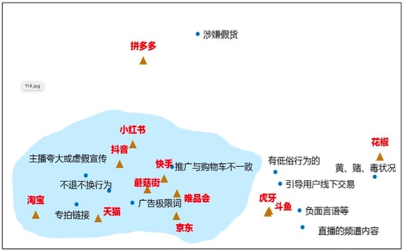 「虚假宣传」中消协报告：直播电商购物中虚假宣传、商品来源担心情况突出
