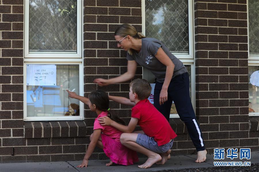 「玩具」抗疫中的暖心瞬间——澳大利亚的“偶遇小熊”接力