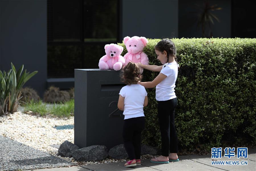 「玩具」抗疫中的暖心瞬间——澳大利亚的“偶遇小熊”接力