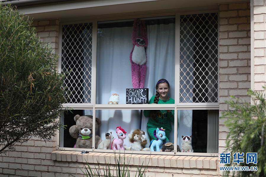 「玩具」抗疫中的暖心瞬间——澳大利亚的“偶遇小熊”接力