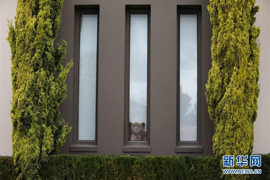 「玩具」抗疫中的暖心瞬间——澳大利亚的“偶遇小熊”接力